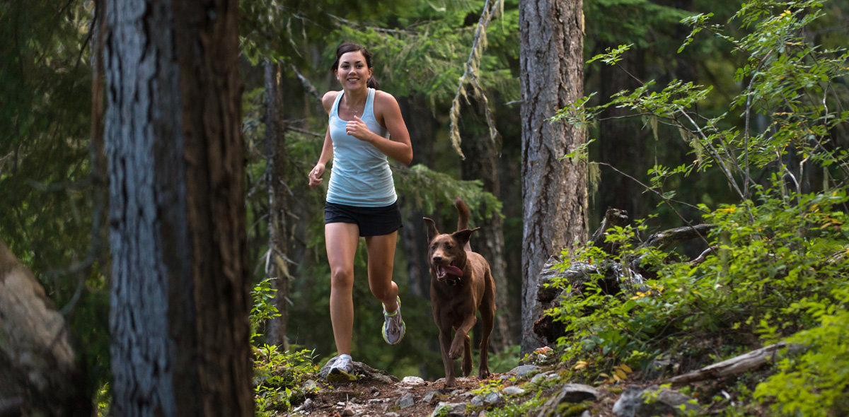 Con il cane in montagna: cura delle sue articolazioni