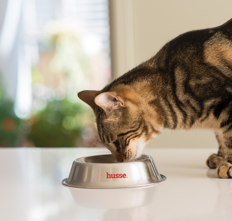 Mousse per gatti adulti con problemi di digestione | Hypoallergenic
