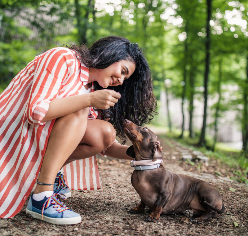 Grain Free Nutricore Salmon Treats | Snack al salmone senza cereali per cani sensibili