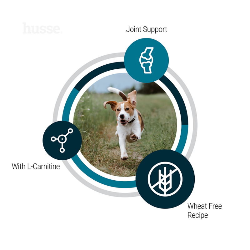 Crocchette per cani con fabbisogno energetico normale | Adult Vitality