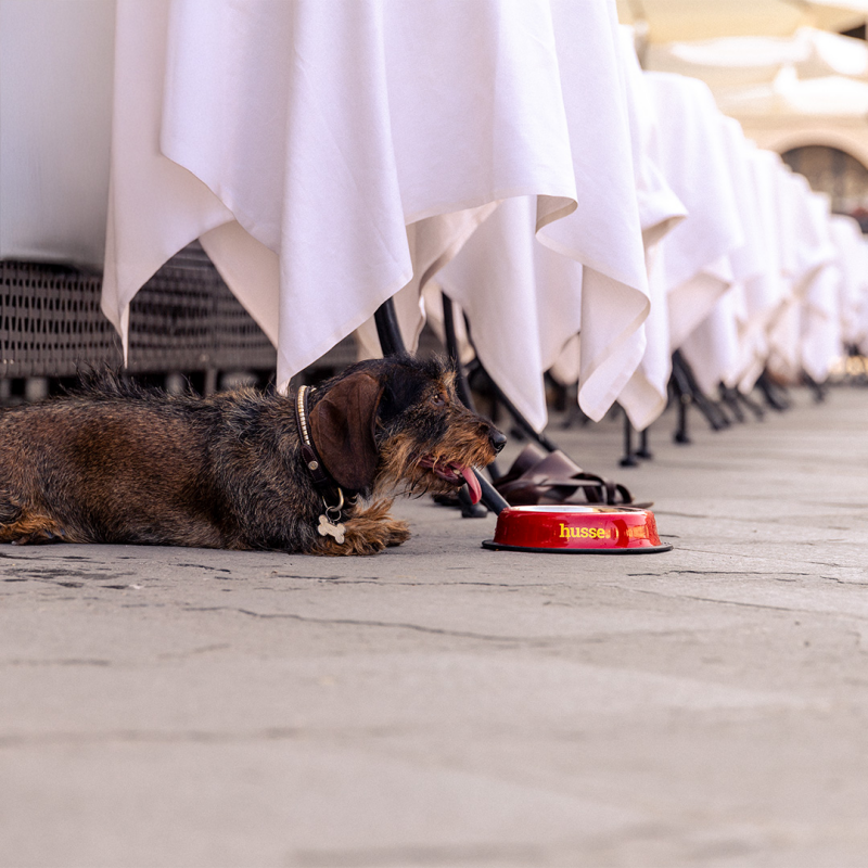 Crocchette per cani con fabbisogno energetico normale | Adult Vitality