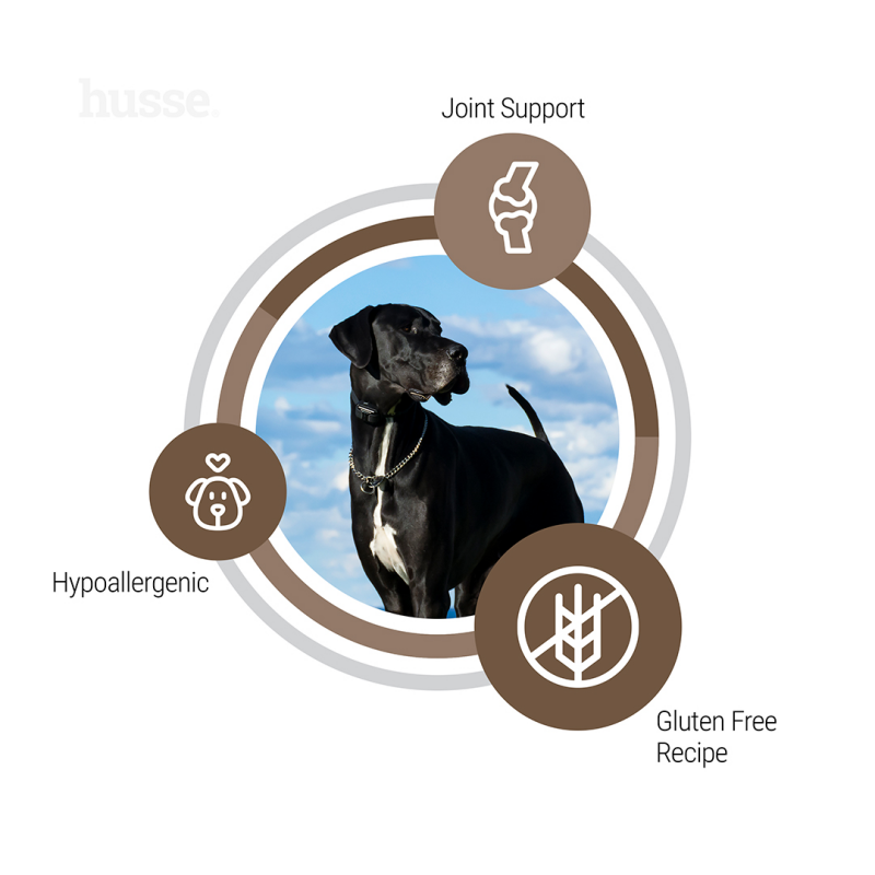 Crocchette ipoallergeniche per cani di taglia grande | Hypoallergenic Digest Adult, large breeds