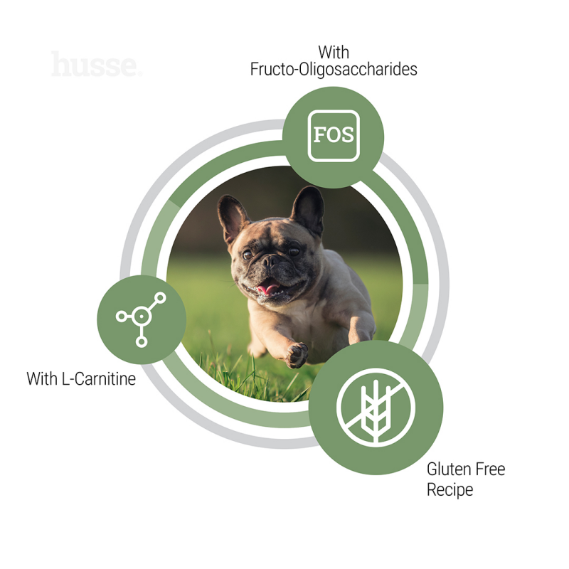 Crocchette per cani in sovrappeso con digestione sensibile | Sensitive Weight Management Adult